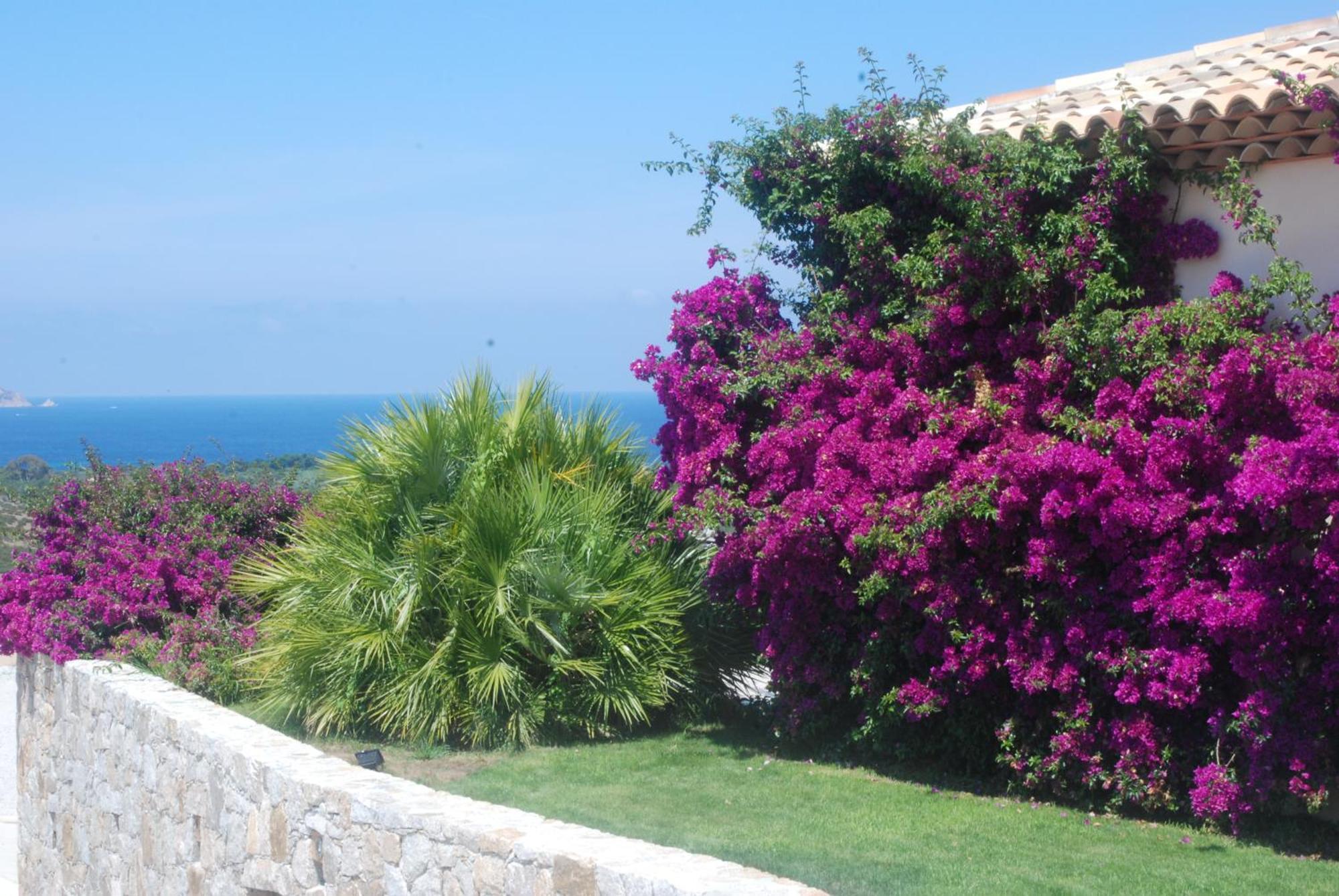 Villa La Vista Lumio  Exterior foto